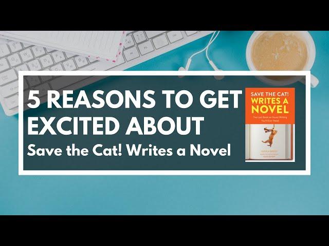 5 Reasons to Get Excited about STC Writes a Novel