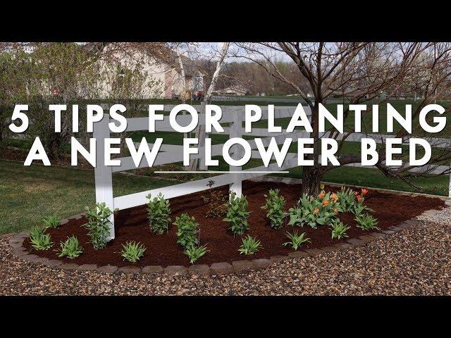 5 Tips for Planting a New Flower Bed // Garden Answer