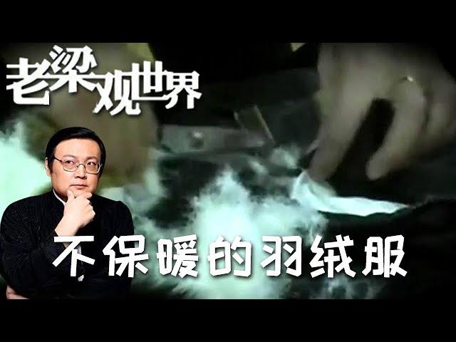 FULL【老梁觀世界】第二季 第五期：不保暖的羽絨服丨羽絨服為什麼賣得那麼貴？老梁說絨的成本好幾百，真的不能怪羽絨