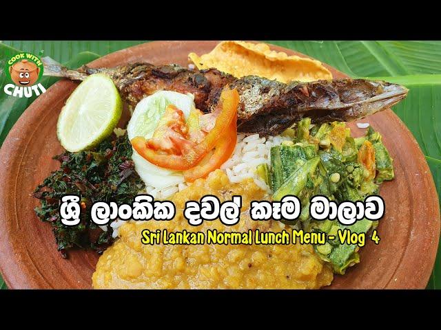 ශ්‍රී ලාංකික දවල් කෑම මාලාව  Sri Lankan Lunch   - Vlog 4