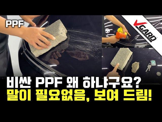 비싼 PPF 왜 하냐고? 확실히 보여드리겠습니다 - 브이가드PPF