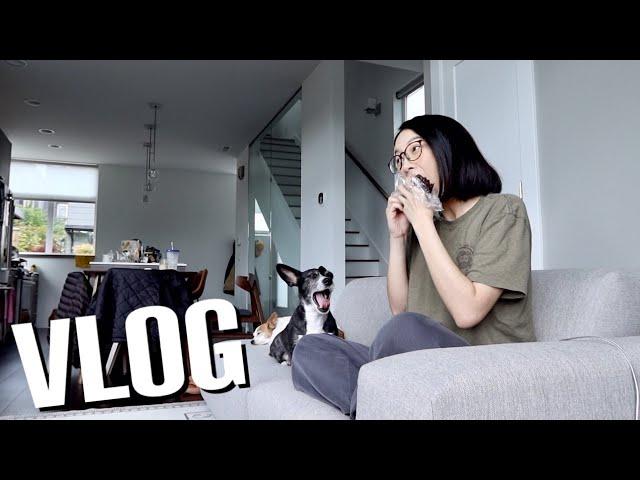 ENG) Weekend Vlog: Life in Seattle, Taiwanese Rice Ball, Mung bean latte???