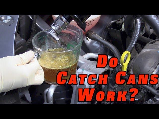 Do Catch Cans REALLY Work?