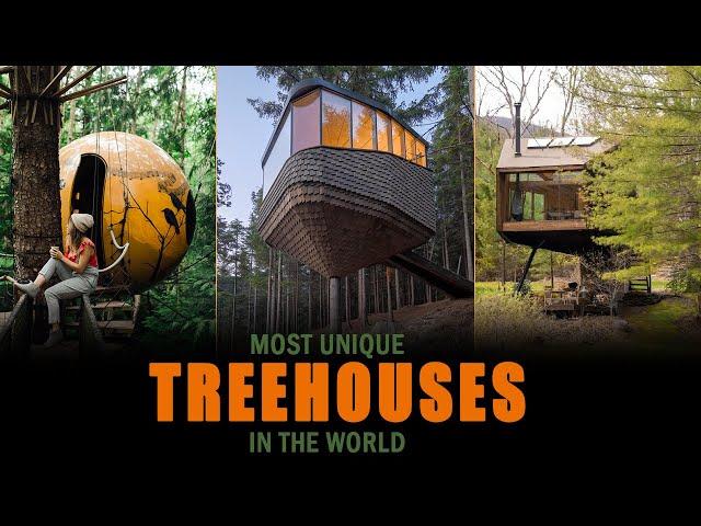 10 Best Treehouse Hotels For Unique Experience