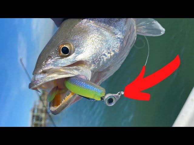 Speckled Trout Tutorial - How To catch Fish Every Cast!