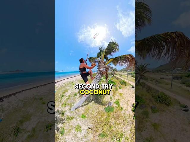 Kitesurfing Coconut harvesting