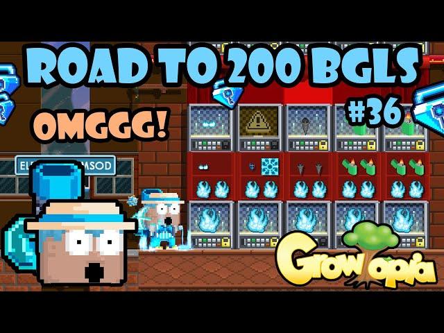 I GOT SCAMMED BGLS.. | Road To 200 BGLS #36 | GrowTopia Profit 2024