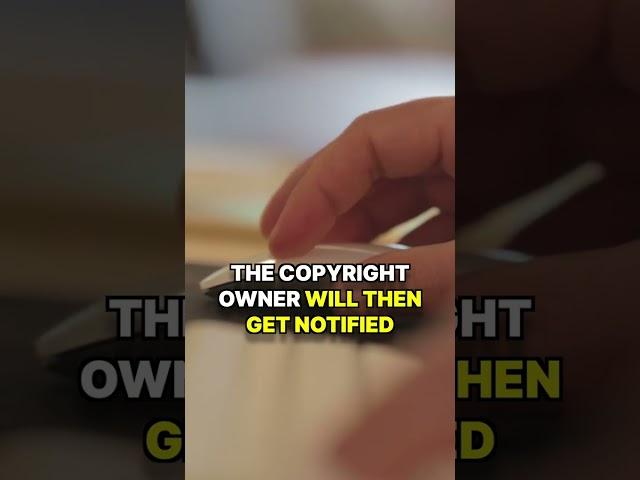 COPYRIGHT CLAIM: What It Is & How To Fix It