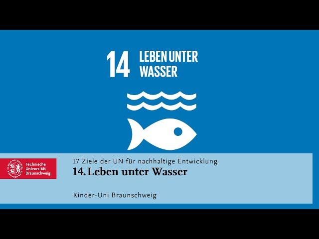 Kinder-Uni-Erklärvideo: Ziel 14 - Leben unter Wasser