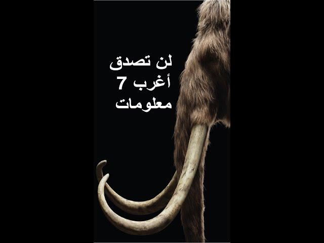 معلومات غريبة جداً || اغرب 7 معلومات