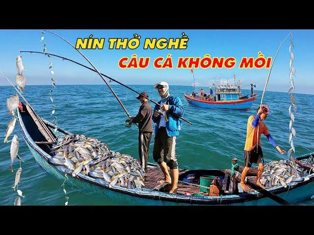 Độc Đáo Nghề Dũ lông Ở Góc Cây Chà || Của Ngư Dân Biển Tam Thanh Tỉnh Quảng Nam