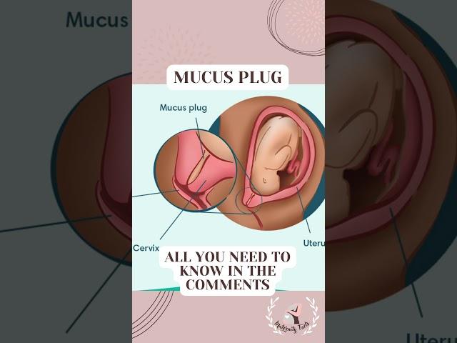 PREGNANCY FACTS! FERTILITY! PREGNANCY! MATERNITY FACTS! BABY BUMP! CHILDBIRTH #newborn #labor