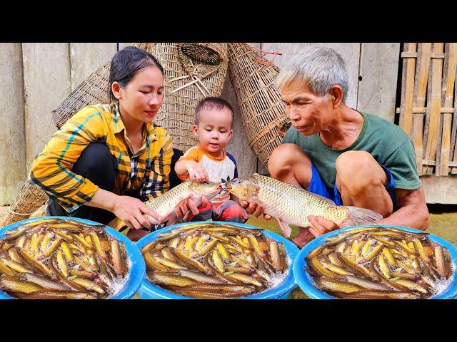 Traps fish during flood season using traditional methods | Tin's Daily Life