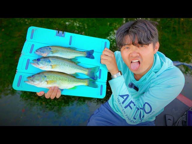 Largemouth Bass Catch And Cook!!