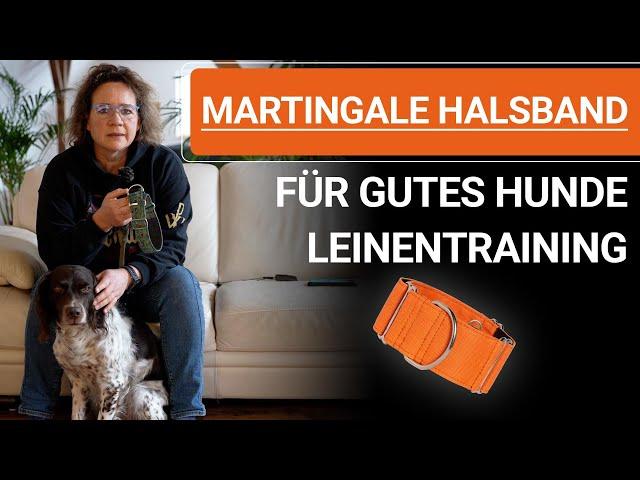  Stephanie Salostowitz ️Martingale Halsband für gutes Hunde Leinentraining ️