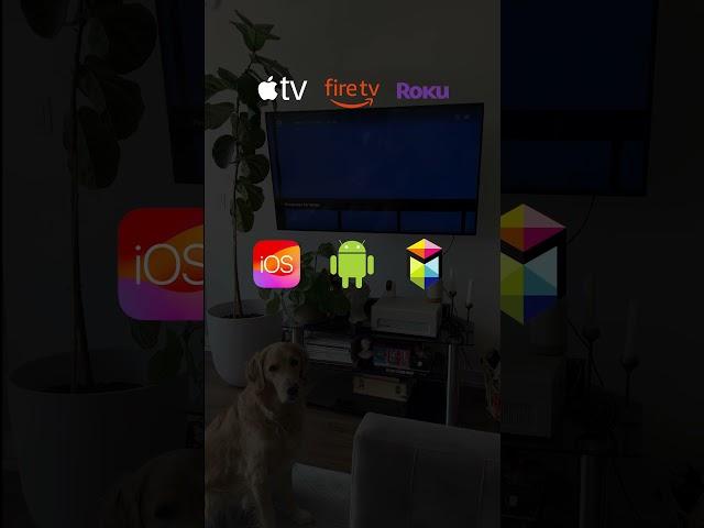 Here’s how you can get started with DOGTV in as little as 60 seconds! 