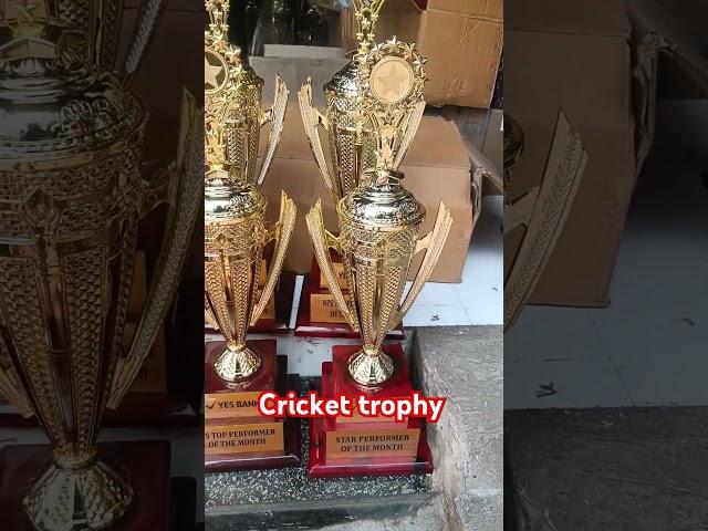 cricket fiber ki trophy #africa #fypシ #cricket #trophy #music #trophies #icctrophy #song #homedecor