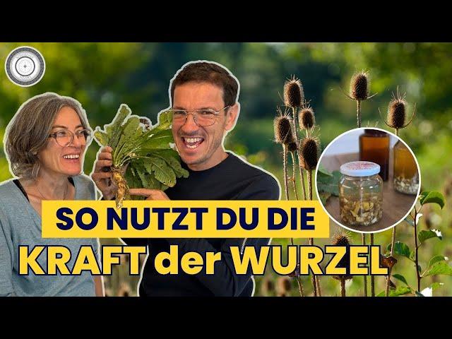 Wilde Karde & Meisterwurz - Diese Wurzeln habens in sich!!! Borreliose, Verdauung und Immunsystem