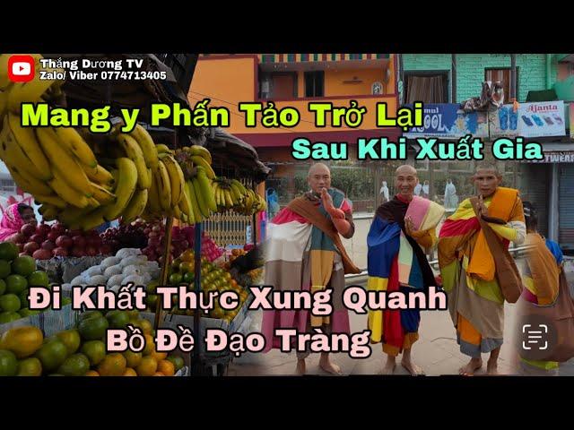 Lần Đầu Tiên Các Thầy Tịch Quang, Quang Đạt Và Minh Đức Đi Khất Thực Xung Quanh Bồ Đề Đạo Tràng (P1)