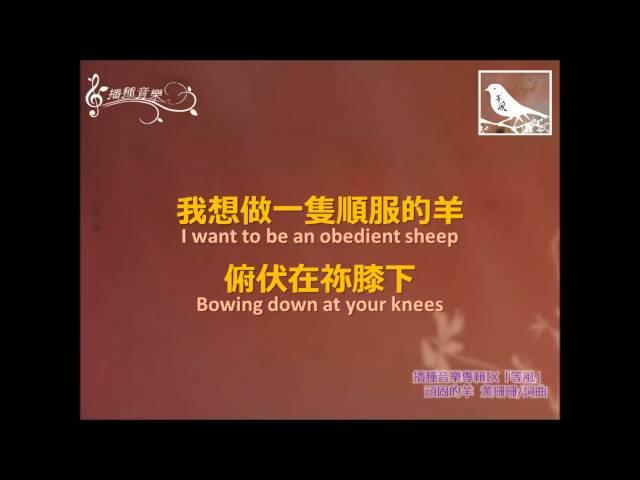 Stubborn Sheep 頑固的羊--Sowing Seeds Music 播種音樂