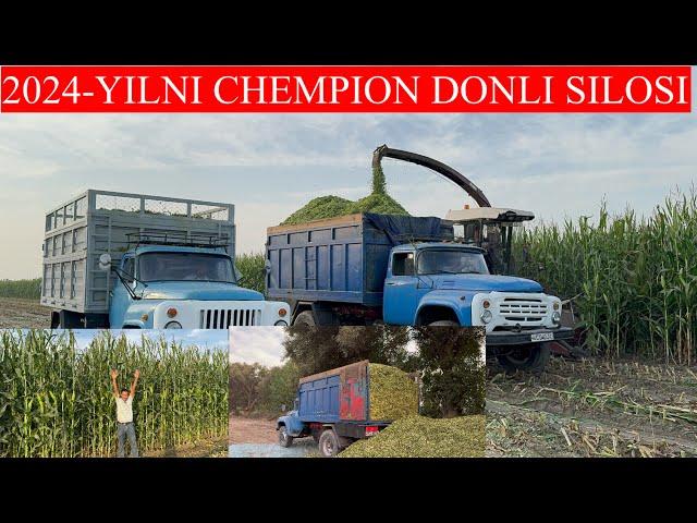 2024-YILNI CHEMPION DONLI SILOSI FAQAT DON BUNAQA SILOSNI ENDI KO’RMAYSIZ BUNAQASI YO’Q