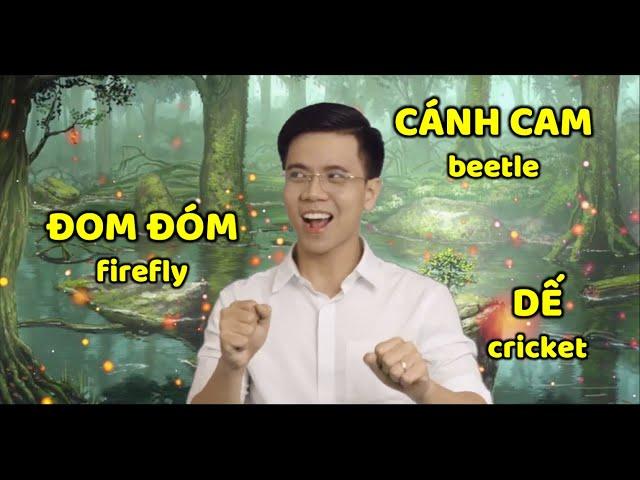 Đom Đóm (JACK) - cover by Thầy Dương (phiên bản áo trắng)