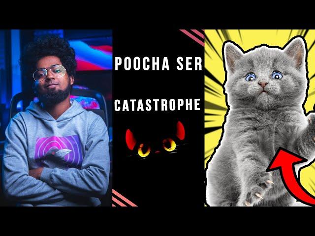 Catastrophe | Poocha Ser | Meow With Beats | Ashwin Bhaskar