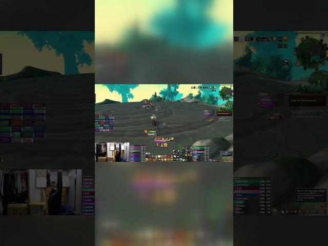 AFK in Mid Raid on My Pally