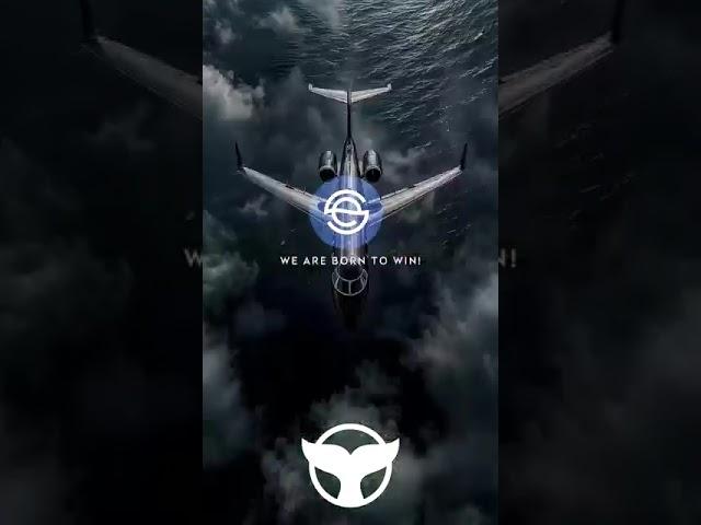 metawhale whalebit (CES coin)