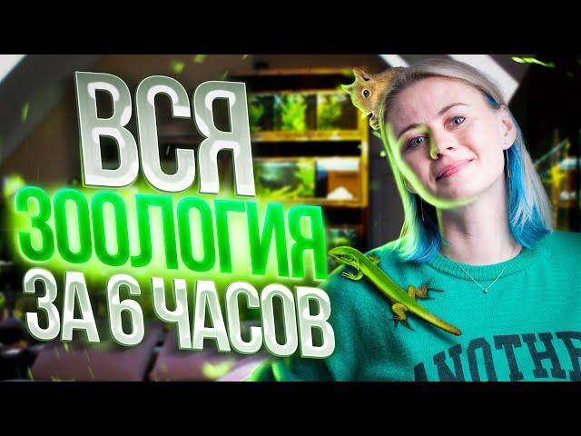 Вся зоология за 6 часов | Биология ЕГЭ — Напольская Ксения