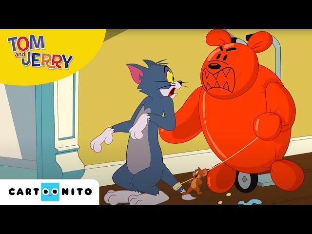 Tom și Jerry | Distracție cu baloane | Cartoonito