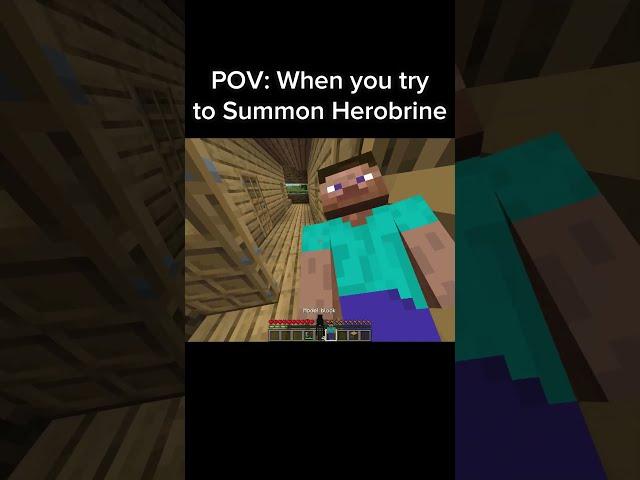 Minecraft Meme