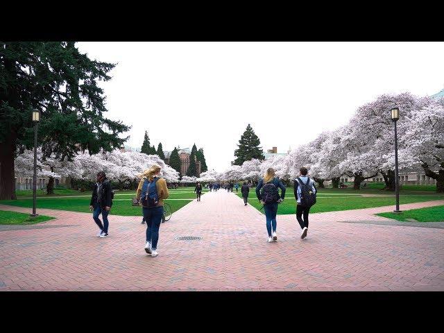 Why You Should Go to the University of Washington