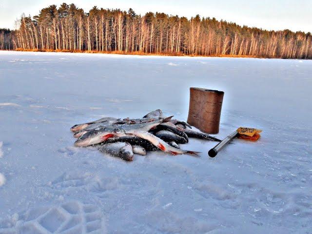 Зимняя рыбалка,мормышкУ МУРАВЕЙ РАЗЛОВИЛ.