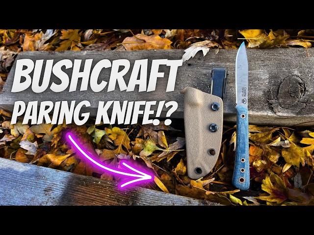 This Minimalist Knife Has Massive Potential!