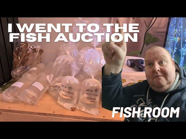 I WENT TO THE FISH AUCTION