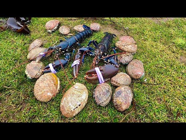 Big ShellFish From the Coast ! Coastal Foraging - Catch & Cook