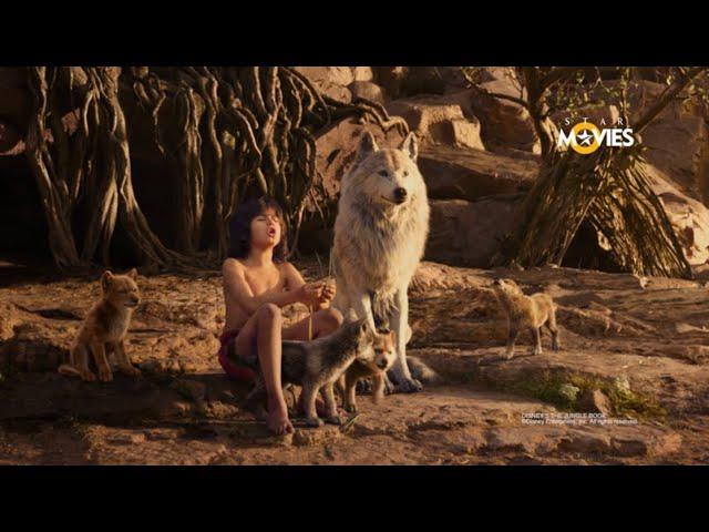 Star Movies | Family (20sec)