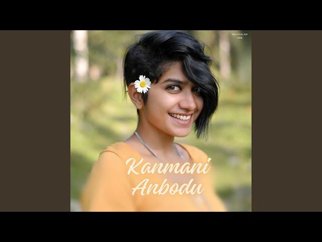 Kanmani Anbodu (Cover Song)