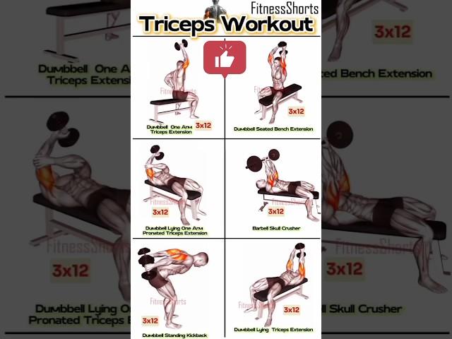 # 6 Best trishape workout # short # fitness # Hom workout # Subho Fitness 2K
