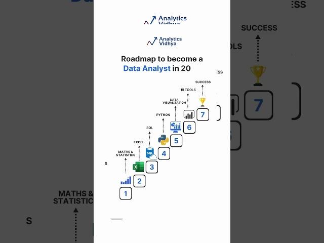 data analyst