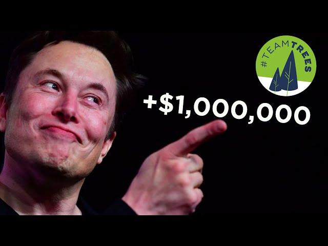 The Moment Elon Musk Donated $1,000,000 to TeamTrees - #Treelon