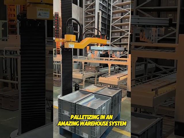 Palletizing in an amazing warehouse system  #palletizer #palletizingrobot #automation #robot