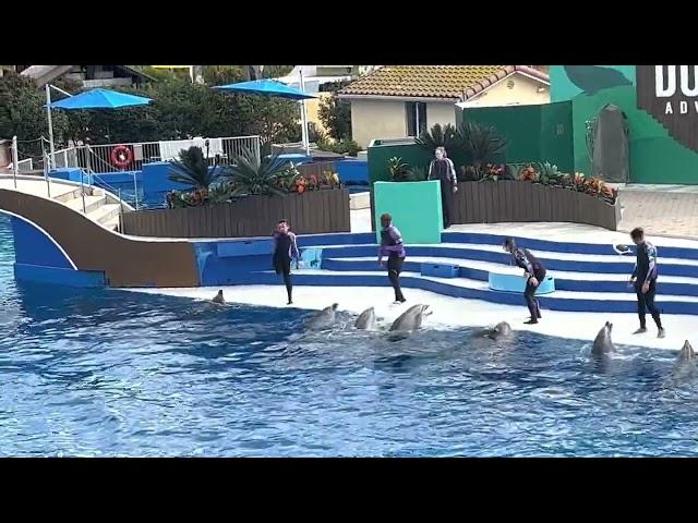 San Diego SeaWorld Dolphin Interaction Show Part II