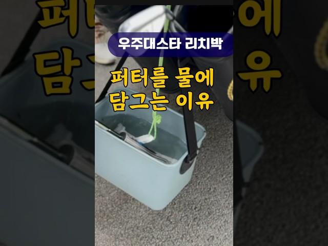 퍼터그립을 물에담그면서 쓰는 리치박 왜 맨날 옷만사고?? #퍼터  #퍼팅  #골프스윙