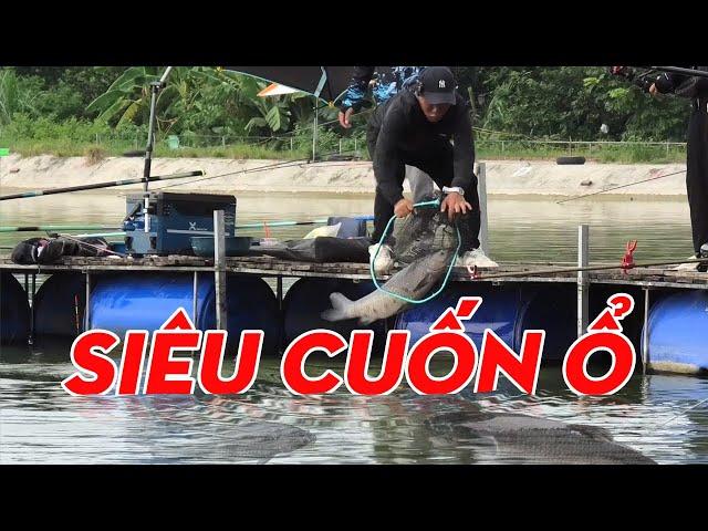 Bão Cá Trăm Đen Quê Hương | Thanh Ngư Chung Nguyễn Fishing