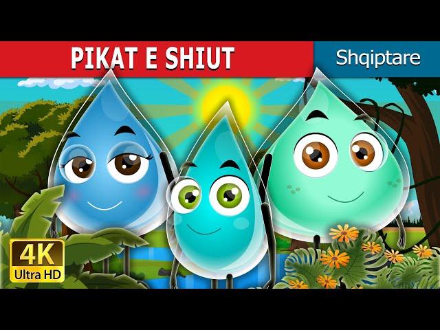 PIKAT E SHIUT | The Raindrops Story | Perralla Shqip @AlbanianFairyTales