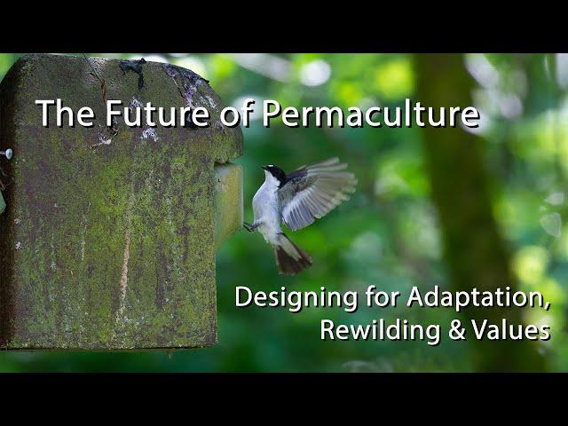 The Future of Permaculture - designing for adaptation, rewilding and peace