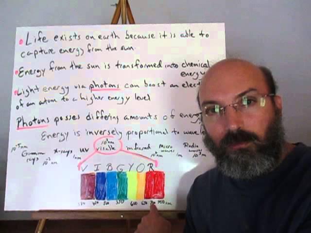 Redox & pigments