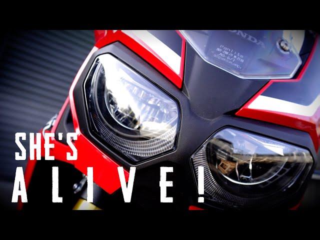 Honda Africa Twin..back from the dead! (sort off)